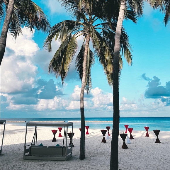 Meet your Posher, Nicholas - Picture 1 of 1